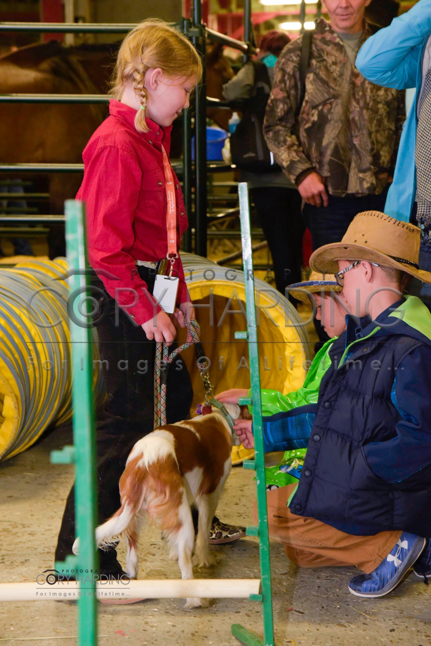 Action Event — _CAH2526