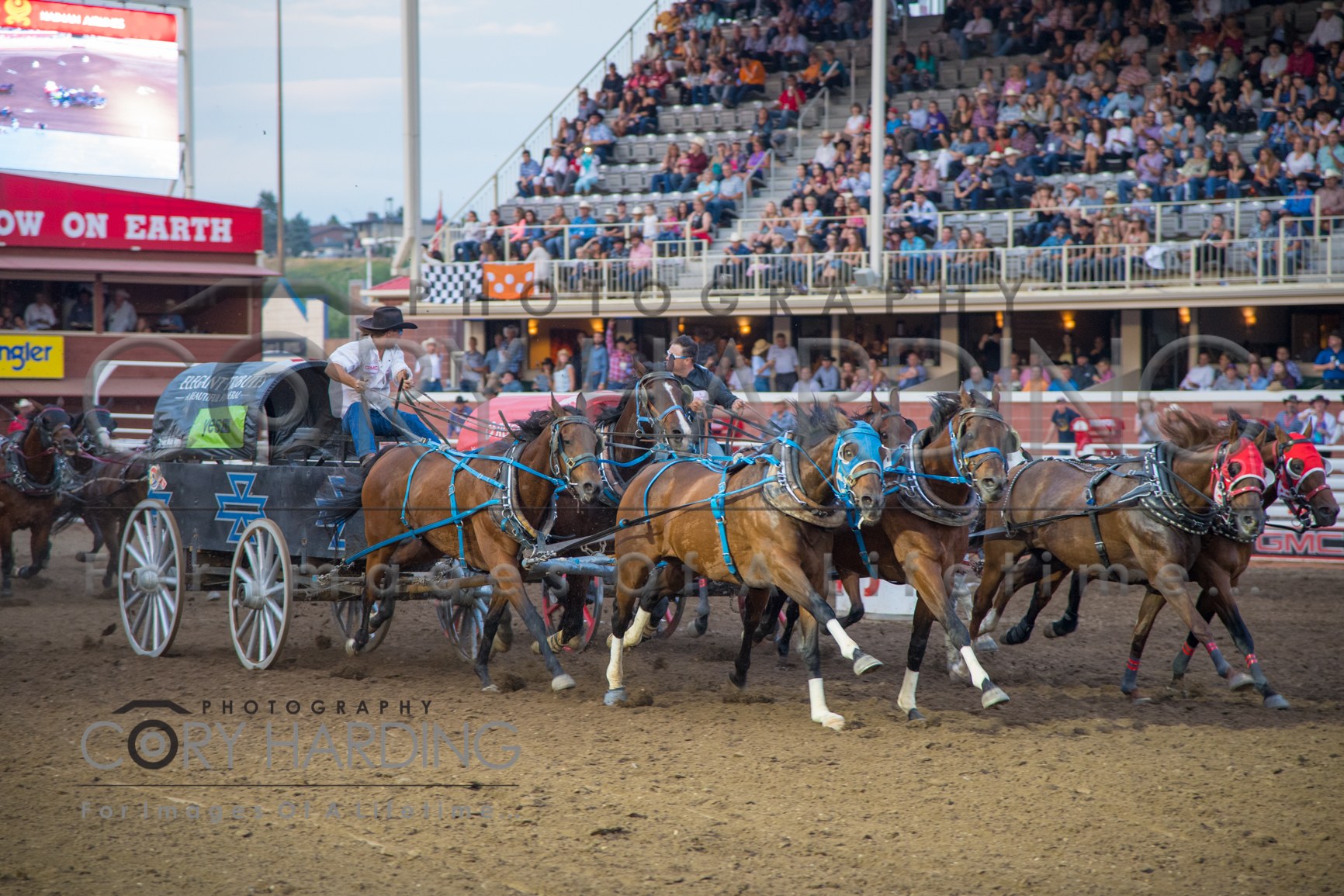 Action Event — _CAH8319-2