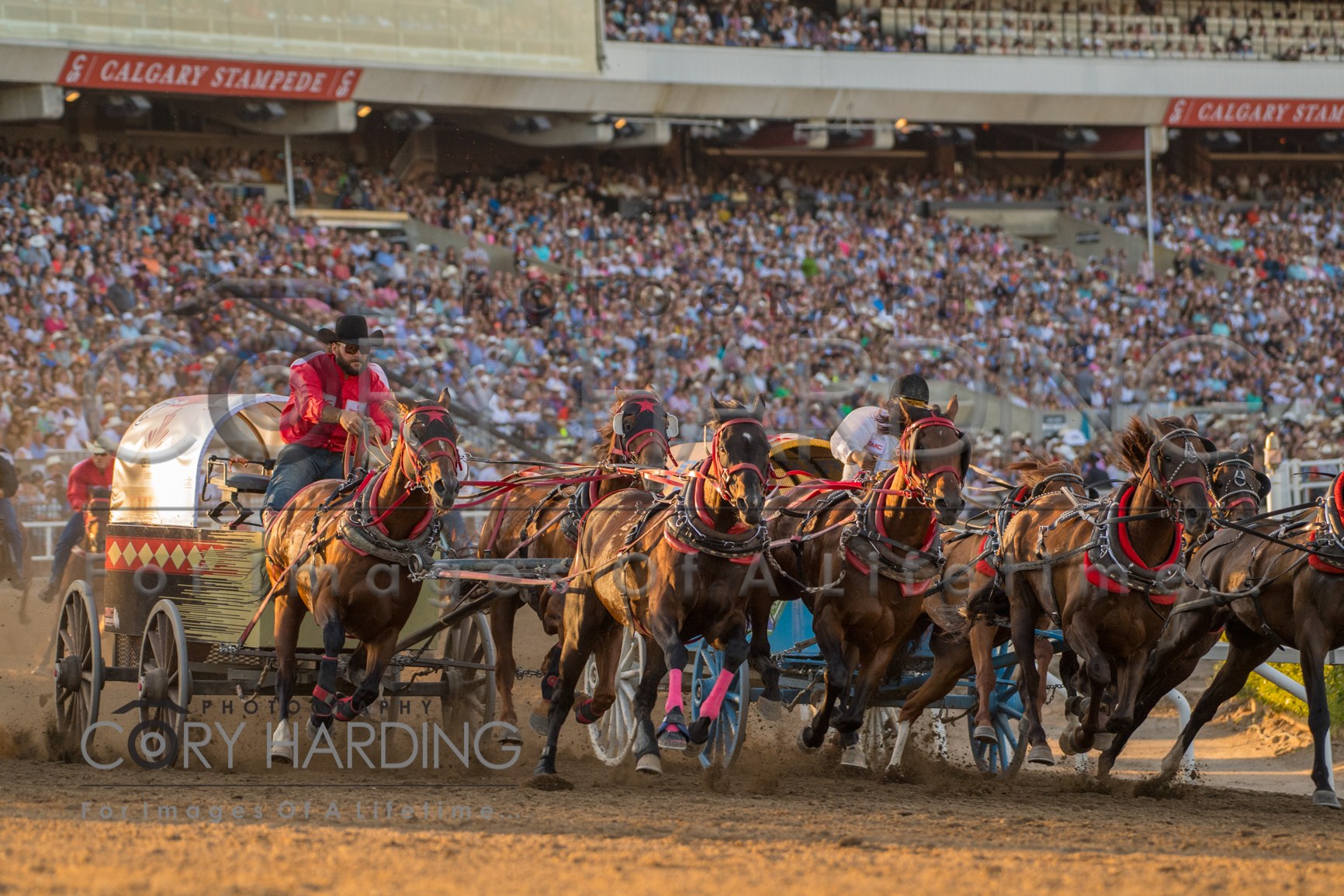 Action Event — _CAH9640