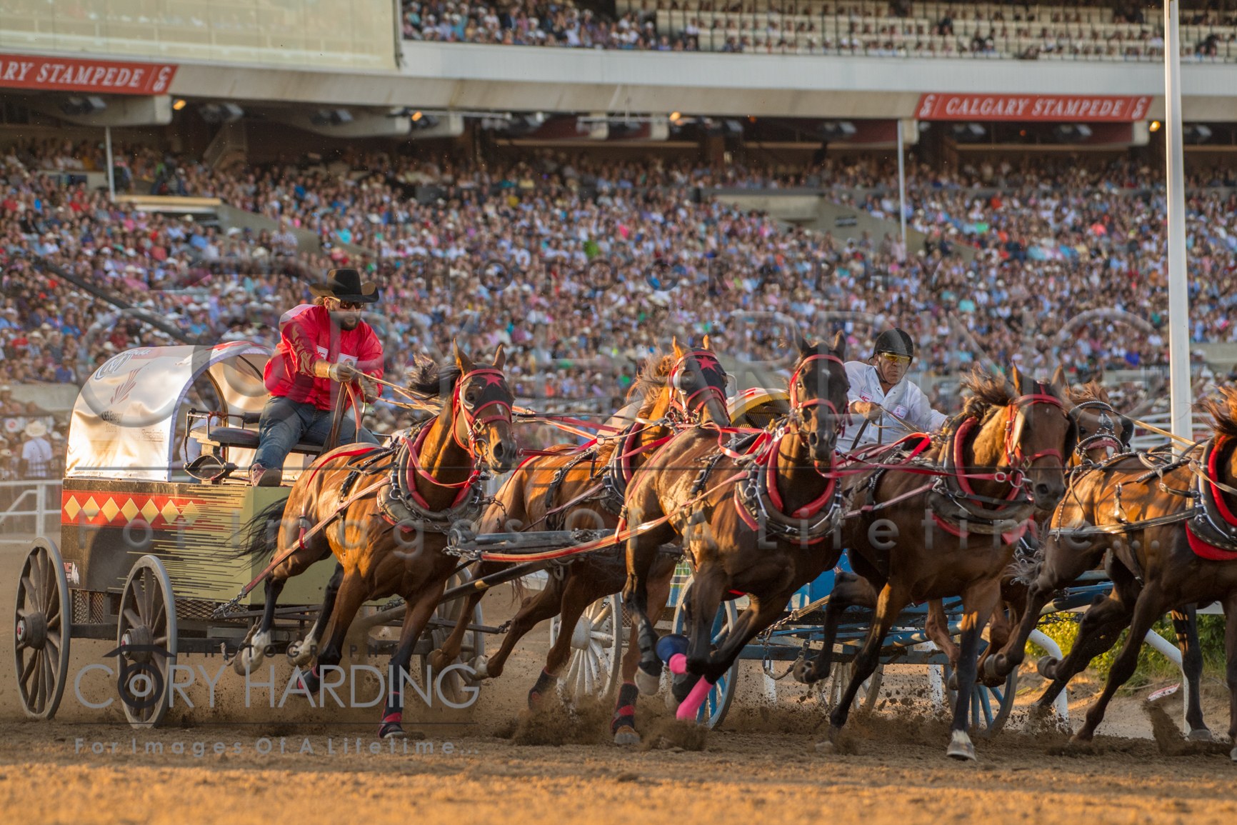 Action Event — _CAH9643