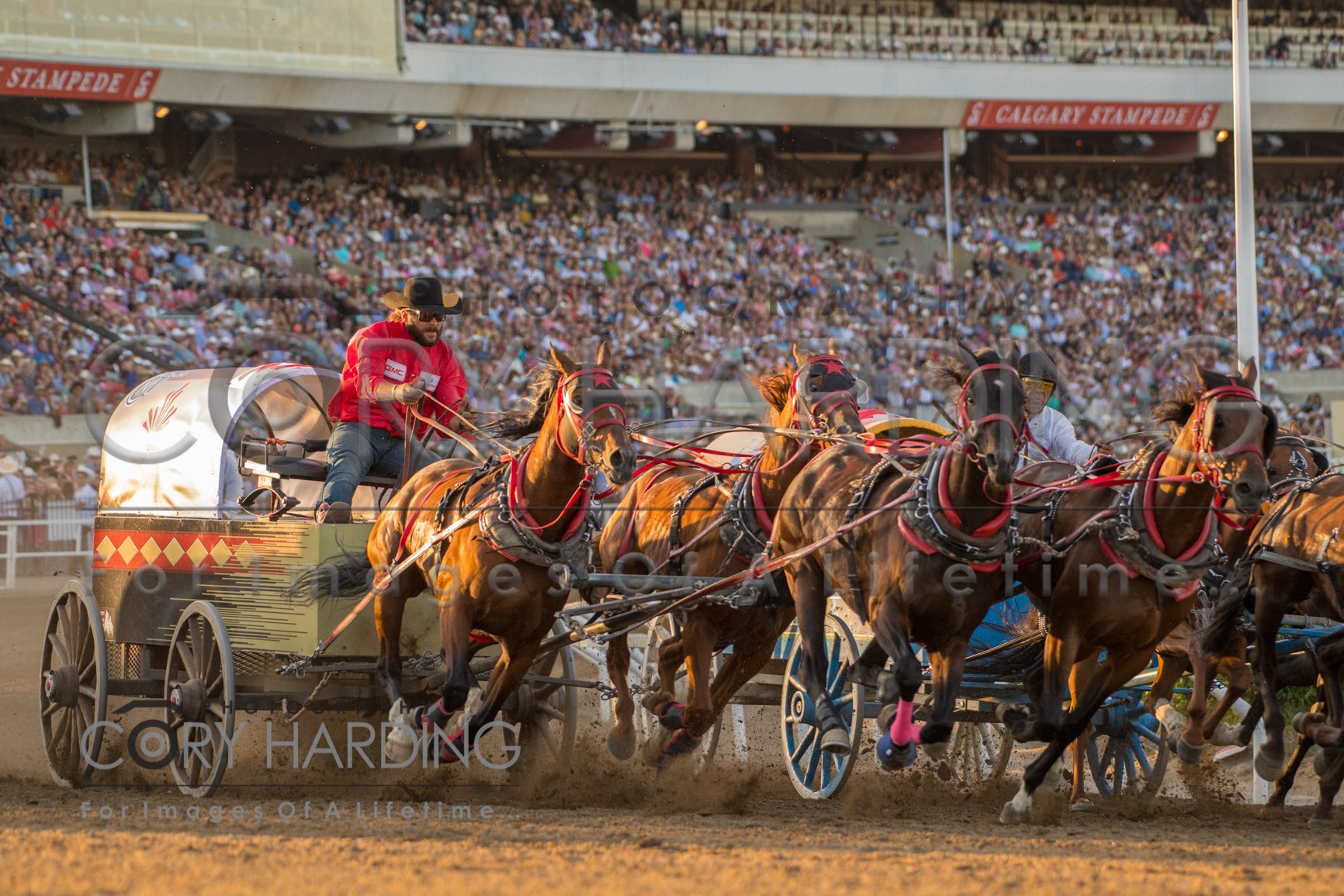 Action Event — _CAH9644