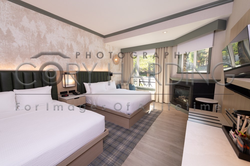 Commercial — _CAH3905