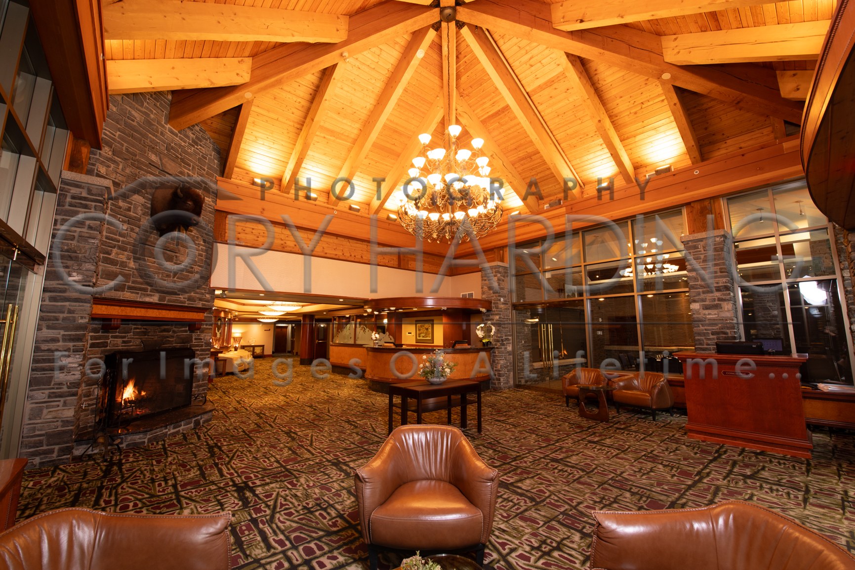 Commercial — _CAH4577