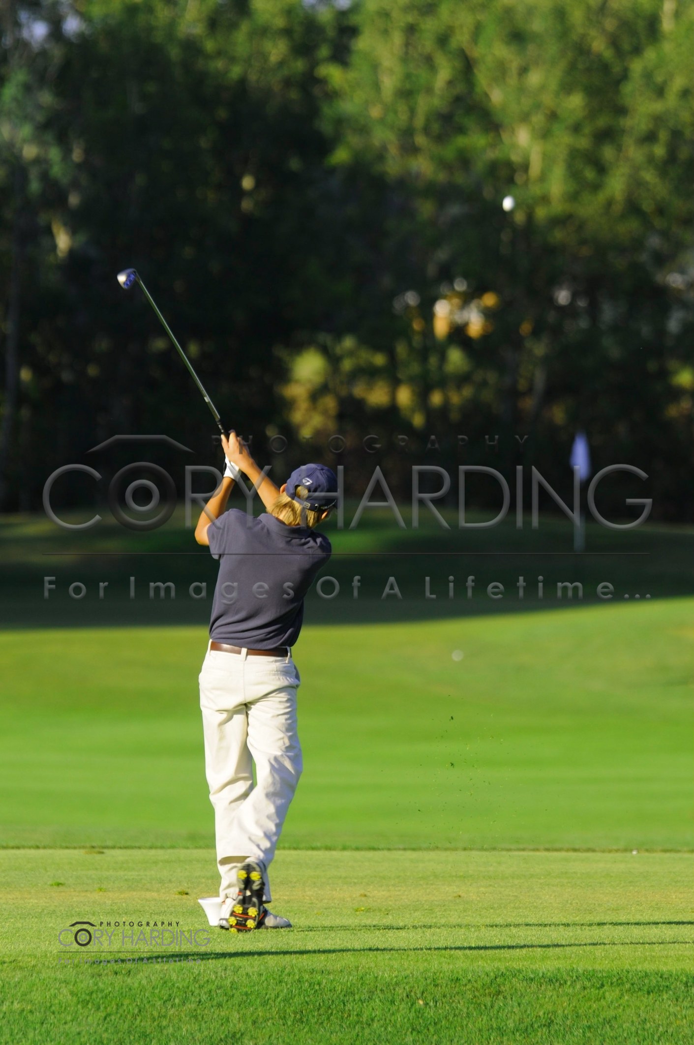 Commercial — DSC_1119